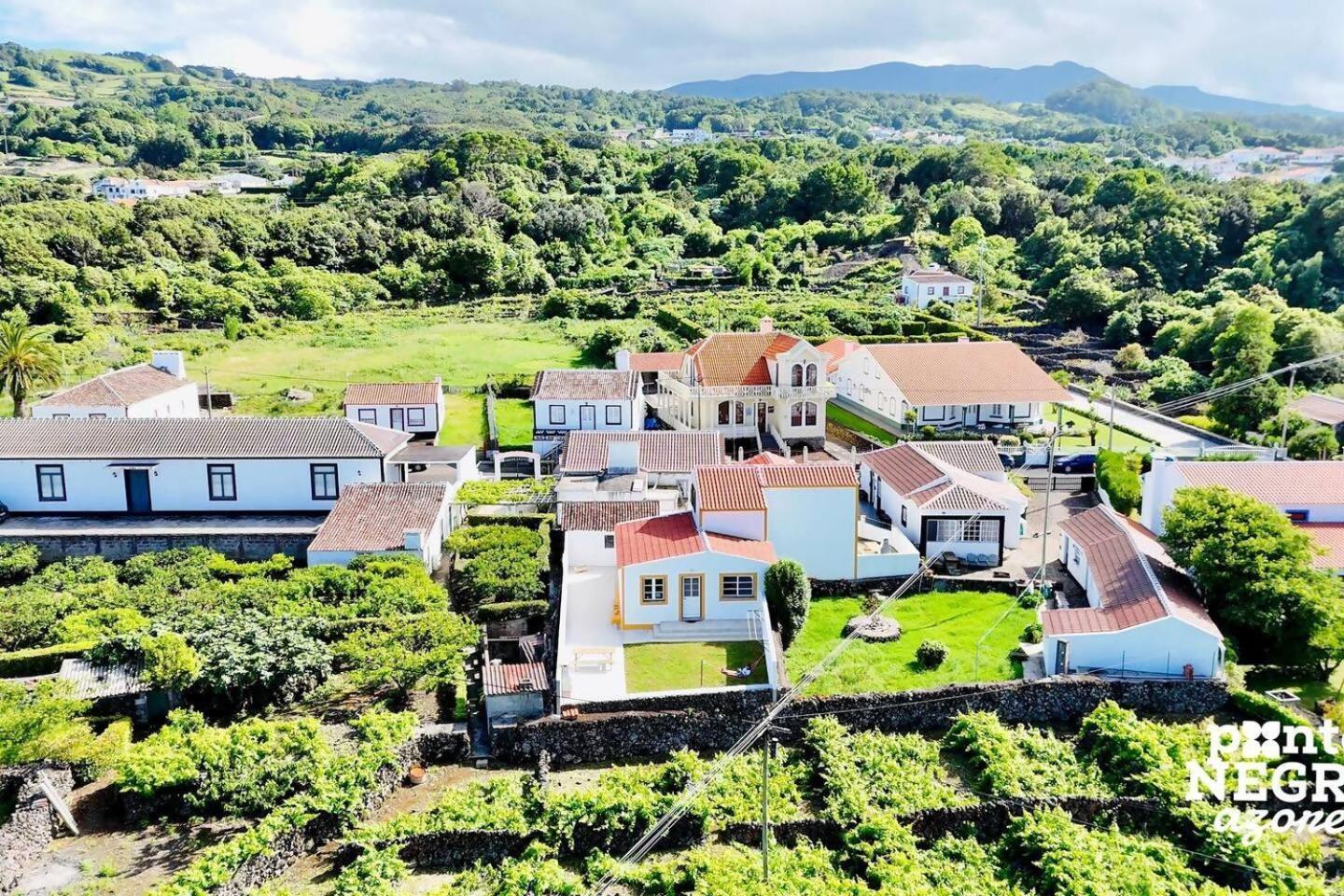 The Biscuit House By Pontanegraazores Praia da Vitória Eksteriør billede