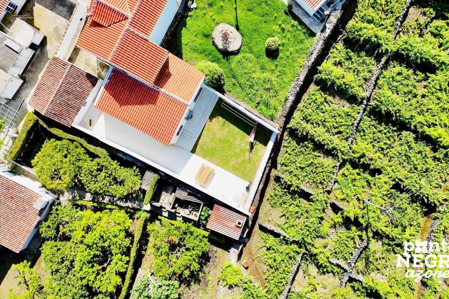 The Biscuit House By Pontanegraazores Praia da Vitória Eksteriør billede